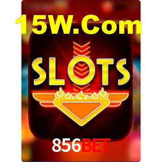 Premium Interface 856Bet