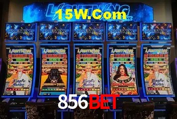 Security Systems 856Bet