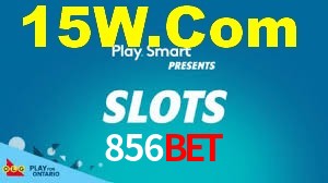Tournaments 856Bet